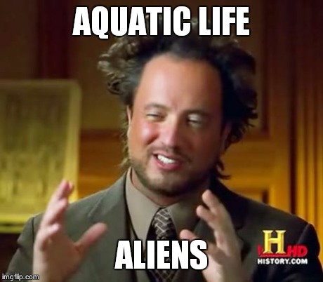 Ancient Aliens Meme | AQUATIC LIFE ALIENS | image tagged in memes,ancient aliens | made w/ Imgflip meme maker