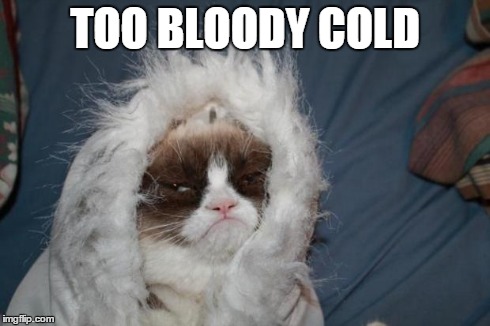 Cold grumpy cat  | TOO BLOODY COLD | image tagged in cold grumpy cat | made w/ Imgflip meme maker