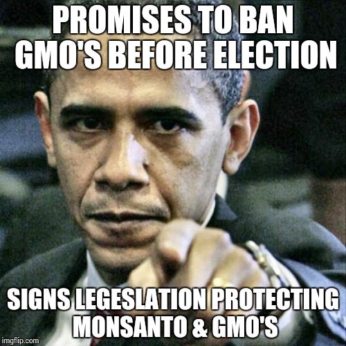 Pissed Off Obama Meme | PROMISES TO BAN GMO'S BEFORE ELECTION SIGNS LEGESLATION PROTECTING MONSANTO & GMO'S | image tagged in memes,pissed off obama | made w/ Imgflip meme maker