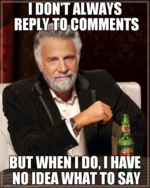 The Most Interesting Man In The World Meme | I DON'T ALWAYS REPLY TO COMMENTS BUT WHEN I DO, I HAVE NO IDEA WHAT TO SAY | image tagged in memes,the most interesting man in the world | made w/ Imgflip meme maker