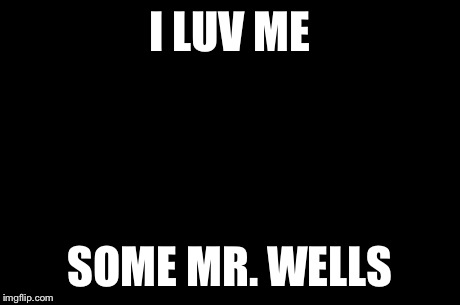 First World Problems | I LUV ME SOME MR. WELLS | image tagged in memes,first world problems | made w/ Imgflip meme maker