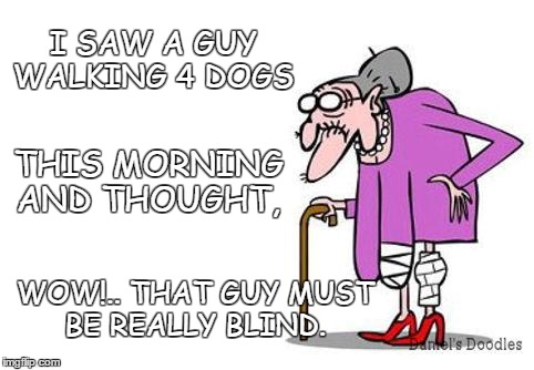 I SAW A GUY WALKING 4 DOGS WOW!.. THAT GUY MUST BE REALLY BLIND. THIS MORNING AND THOUGHT, | image tagged in lady with cane | made w/ Imgflip meme maker