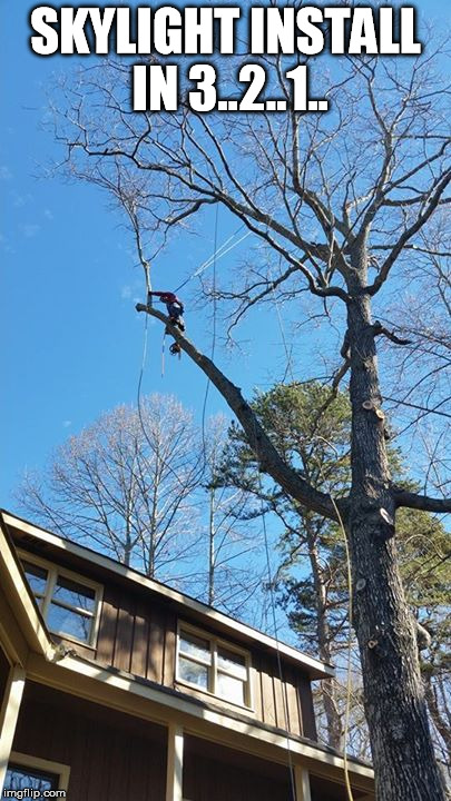Tree climbing funny  | SKYLIGHT INSTALL IN 3..2..1.. | image tagged in tree,funny | made w/ Imgflip meme maker