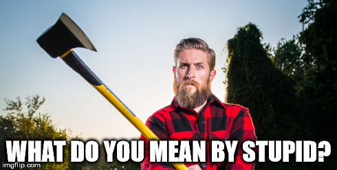 WHAT DO YOU MEAN BY STUPID? | image tagged in lumbersexual,angry,axe | made w/ Imgflip meme maker