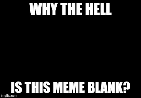 Good ol' imgflip workin' like it should | WHY THE HELL IS THIS MEME BLANK? | image tagged in memes,am i the only one around here | made w/ Imgflip meme maker