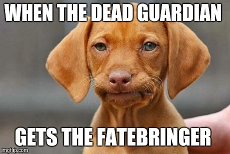 WHEN THE DEAD GUARDIAN GETS THE FATEBRINGER | image tagged in dog | made w/ Imgflip meme maker