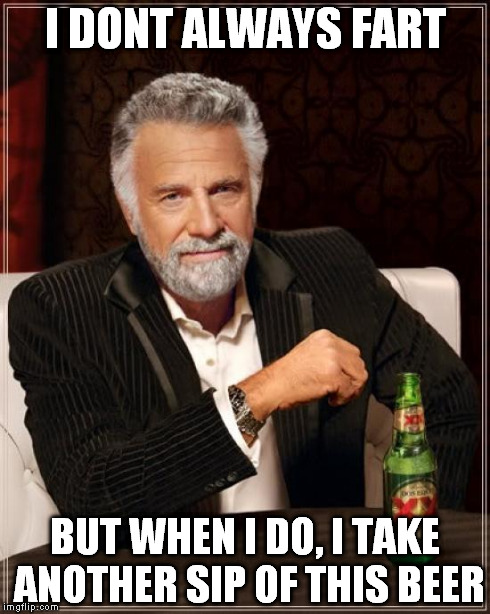 The Most Interesting Man In The World | I DONT ALWAYS FART BUT WHEN I DO, I TAKE ANOTHER SIP OF THIS BEER | image tagged in memes,the most interesting man in the world | made w/ Imgflip meme maker
