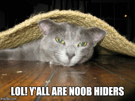HELLOOO | LOL! Y'ALL ARE NOOB HIDERS | image tagged in hellooo | made w/ Imgflip meme maker