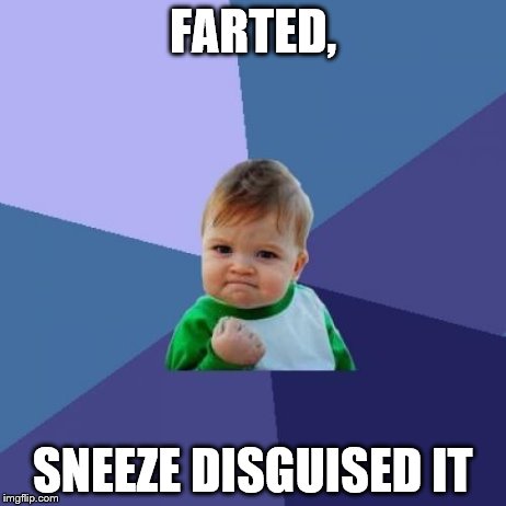 Success Kid | FARTED, SNEEZE DISGUISED IT | image tagged in memes,success kid | made w/ Imgflip meme maker