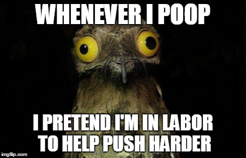 Weird Stuff I Do Potoo | WHENEVER I POOP I PRETEND I'M IN LABOR TO HELP PUSH HARDER | image tagged in memes,weird stuff i do potoo | made w/ Imgflip meme maker