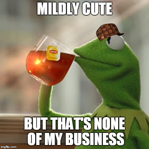 But That's None Of My Business Meme | MILDLY CUTE BUT THAT'S NONE OF MY BUSINESS | image tagged in memes,but thats none of my business,kermit the frog,scumbag | made w/ Imgflip meme maker