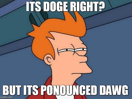 Futurama Fry Meme | ITS DOGE RIGHT? BUT ITS PONOUNCED DAWG | image tagged in memes,futurama fry,scumbag | made w/ Imgflip meme maker