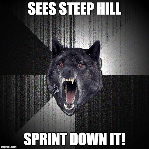 Insanity Wolf | SEES STEEP HILL SPRINT DOWN IT! | image tagged in memes,insanity wolf | made w/ Imgflip meme maker