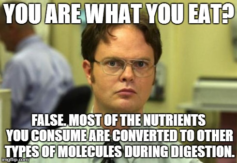 I just learned this in BioChem and thought it would be slightly useful information | YOU ARE WHAT YOU EAT? FALSE. MOST OF THE NUTRIENTS YOU CONSUME ARE CONVERTED TO OTHER TYPES OF MOLECULES DURING DIGESTION. | image tagged in memes,dwight schrute | made w/ Imgflip meme maker
