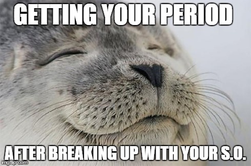 Satisfied Seal | GETTING YOUR PERIOD AFTER BREAKING UP WITH YOUR S.O. | image tagged in memes,satisfied seal,AdviceAnimals | made w/ Imgflip meme maker