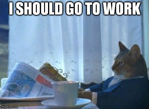 I Should Buy A Boat Cat | I SHOULD GO TO WORK | image tagged in memes,i should buy a boat cat | made w/ Imgflip meme maker