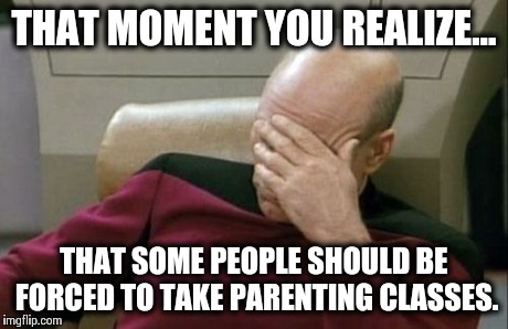 Captain Picard Facepalm | THAT MOMENT YOU REALIZE... THAT SOME PEOPLE SHOULD BE FORCED TO TAKE PARENTING CLASSES. | image tagged in memes,captain picard facepalm | made w/ Imgflip meme maker