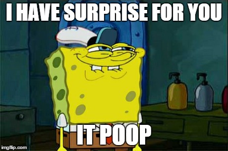 Don't You Squidward Meme | I HAVE SURPRISE FOR YOU IT POOP | image tagged in memes,dont you squidward | made w/ Imgflip meme maker