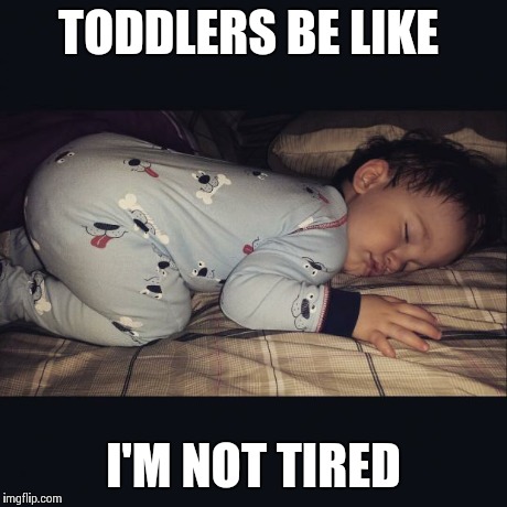 TODDLERS BE LIKE I'M NOT TIRED | image tagged in sleepytoddler | made w/ Imgflip meme maker