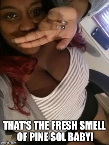 Idk what this chick is doing | THAT'S THE FRESH SMELL OF PINE SOL BABY! | image tagged in memes | made w/ Imgflip meme maker