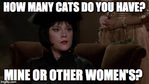 Mrs. White Loves Cats | HOW MANY CATS DO YOU HAVE? MINE OR OTHER WOMEN'S? | image tagged in cats,clue,mrs white | made w/ Imgflip meme maker