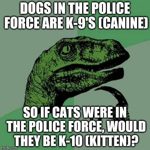 Philosoraptor Meme | DOGS IN THE POLICE FORCE ARE K-9'S (CANINE) SO IF CATS WERE IN THE POLICE FORCE, WOULD THEY BE K-10 (KITTEN)? | image tagged in memes,philosoraptor | made w/ Imgflip meme maker