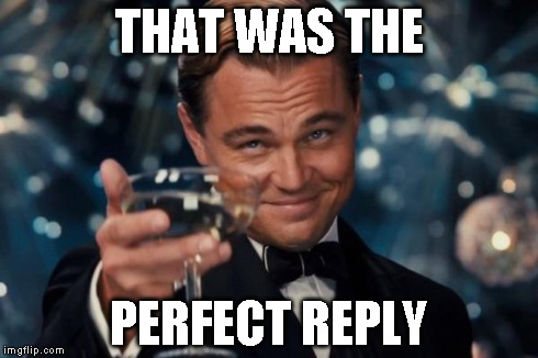 Leonardo Dicaprio Cheers Meme | THAT WAS THE PERFECT REPLY | image tagged in memes,leonardo dicaprio cheers | made w/ Imgflip meme maker