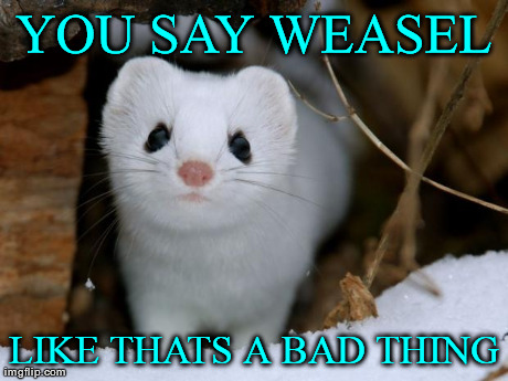 YOU SAY WEASEL LIKE THATS A BAD THING | image tagged in weasel | made w/ Imgflip meme maker