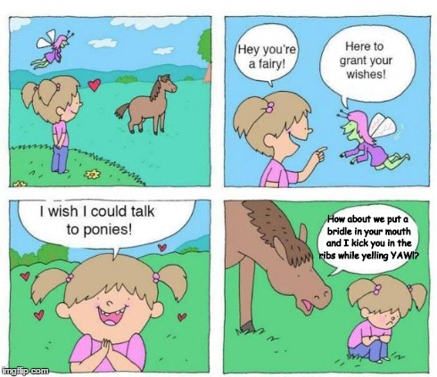 Talk to Ponies | How about we put a bridle in your mouth and I kick you in the ribs while yelling YAW!? | image tagged in talk to ponies | made w/ Imgflip meme maker