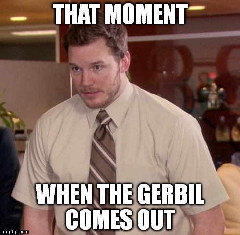 Afraid To Ask Andy Meme | THAT MOMENT WHEN THE GERBIL COMES OUT | image tagged in memes,afraid to ask andy | made w/ Imgflip meme maker