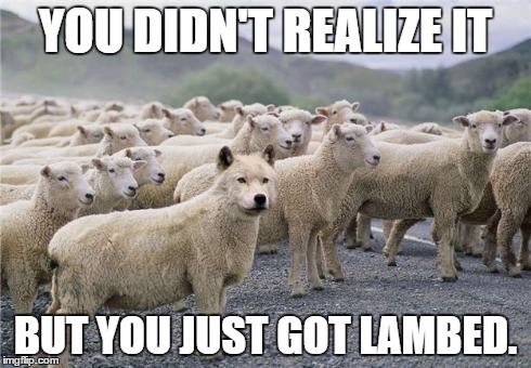 YOU DIDN'T REALIZE IT BUT YOU JUST GOT LAMBED. | image tagged in wolf,lamb,screwed | made w/ Imgflip meme maker