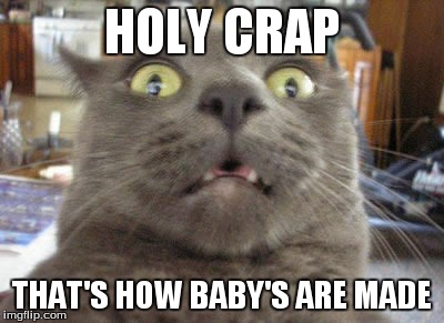 mom | HOLY CRAP THAT'S HOW BABY'S ARE MADE | image tagged in funny | made w/ Imgflip meme maker
