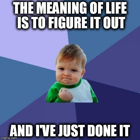 Success Kid Meme | THE MEANING OF LIFE IS TO FIGURE IT OUT AND I'VE JUST DONE IT | image tagged in memes,success kid | made w/ Imgflip meme maker