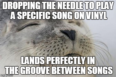 Satisfied Seal Meme | DROPPING THE NEEDLE TO PLAY A SPECIFIC SONG ON VINYL LANDS PERFECTLY IN THE GROOVE BETWEEN SONGS | image tagged in memes,satisfied seal | made w/ Imgflip meme maker