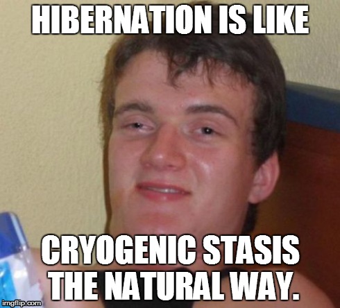 10 Guy Meme | HIBERNATION IS LIKE CRYOGENIC STASIS THE NATURAL WAY. | image tagged in memes,10 guy | made w/ Imgflip meme maker