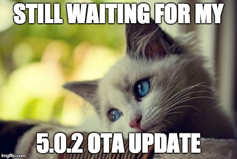 First World Problems Cat Meme | STILL WAITING FOR MY 5.0.2 OTA UPDATE | image tagged in memes,first world problems cat | made w/ Imgflip meme maker