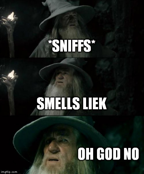 Confused Gandalf | *SNIFFS* SMELLS LIEK OH GOD NO | image tagged in memes,confused gandalf | made w/ Imgflip meme maker