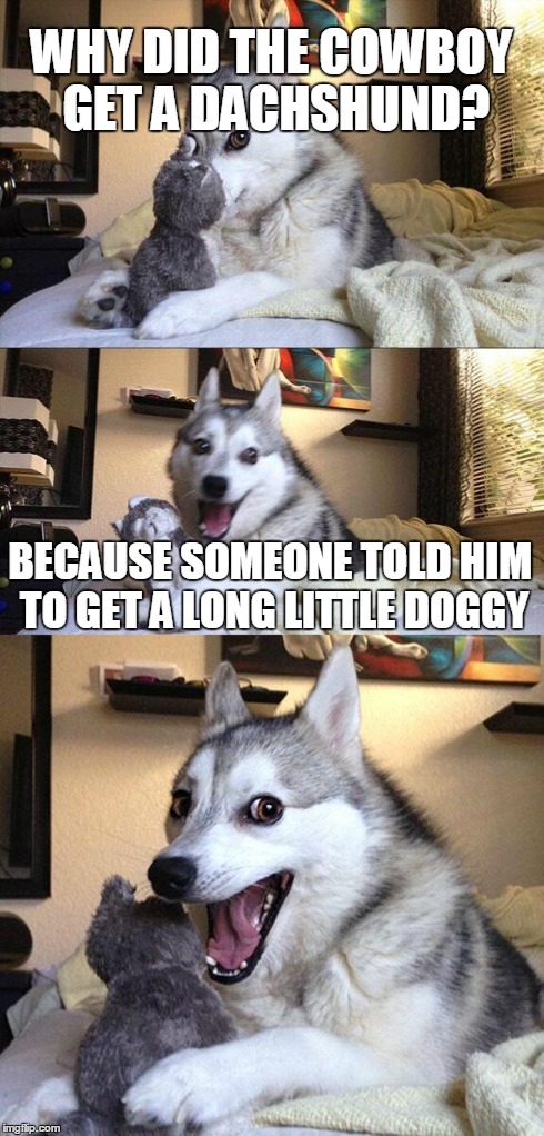 You may have heard this one before... | WHY DID THE COWBOY GET A DACHSHUND? BECAUSE SOMEONE TOLD HIM TO GET A LONG LITTLE DOGGY | image tagged in memes,bad pun dog | made w/ Imgflip meme maker