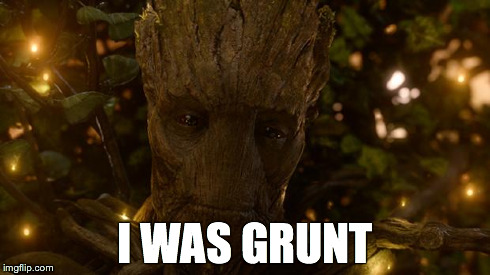 I Was Groot | I WAS GRUNT | image tagged in i was groot | made w/ Imgflip meme maker