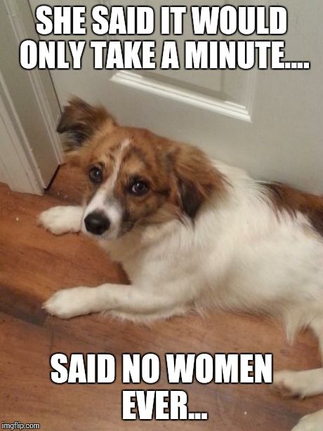 SHE SAID IT WOULD ONLY TAKE A MINUTE.... SAID NO WOMEN EVER... | image tagged in puppy | made w/ Imgflip meme maker