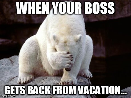 sad polar bear | WHEN YOUR BOSS GETS BACK FROM VACATION... | image tagged in sad polar bear | made w/ Imgflip meme maker