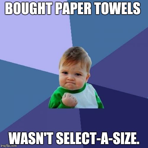 Success Kid Meme | BOUGHT PAPER TOWELS WASN'T SELECT-A-SIZE. | image tagged in memes,success kid | made w/ Imgflip meme maker
