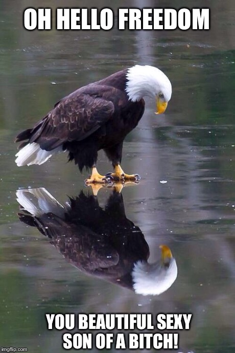 Freedom reflection | OH HELLO FREEDOM YOU BEAUTIFUL SEXY SON OF A B**CH! | image tagged in freedom,eagle,america | made w/ Imgflip meme maker