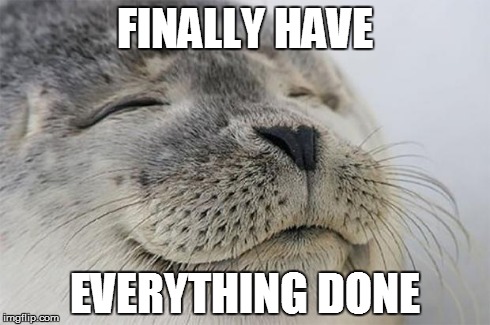 Satisfied Seal | FINALLY HAVE EVERYTHING DONE | image tagged in memes,satisfied seal | made w/ Imgflip meme maker