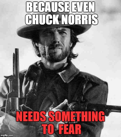 Clint Eastwood | BECAUSE EVEN CHUCK NORRIS NEEDS SOMETHING TO FEAR | image tagged in clint eastwood | made w/ Imgflip meme maker