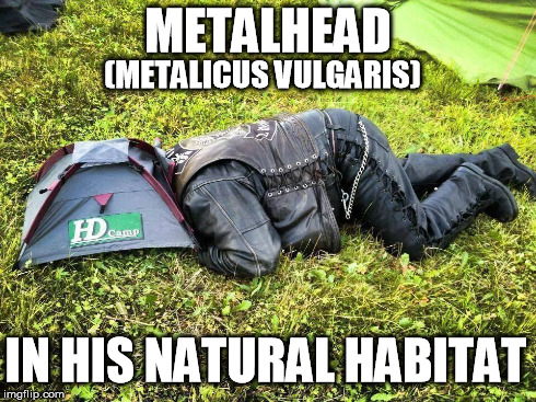 Metalhead in nature | METALHEAD IN HIS NATURAL HABITAT (METALICUS VULGARIS) | image tagged in metal,music,funny,nature | made w/ Imgflip meme maker