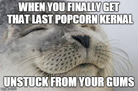 Satisfied Seal | WHEN YOU FINALLY GET THAT LAST POPCORN KERNAL UNSTUCK FROM YOUR GUMS | image tagged in memes,satisfied seal,AdviceAnimals | made w/ Imgflip meme maker