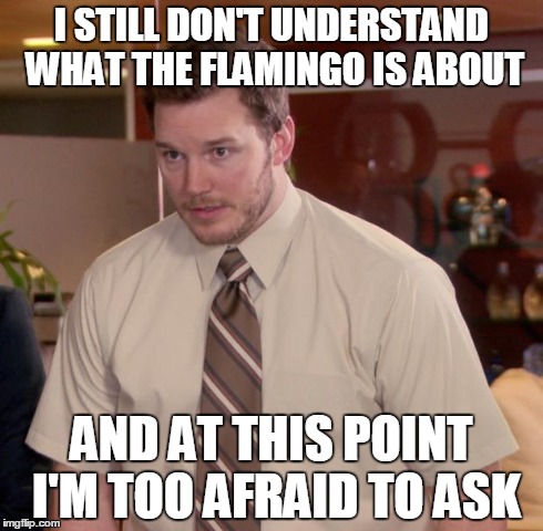 Afraid To Ask Andy Meme | I STILL DON'T UNDERSTAND WHAT THE FLAMINGO IS ABOUT AND AT THIS POINT I'M TOO AFRAID TO ASK | image tagged in memes,afraid to ask andy,NewYorkMets | made w/ Imgflip meme maker