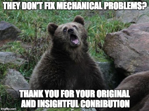 Sarcastic Bear | THEY DON'T FIX MECHANICAL PROBLEMS? THANK YOU FOR YOUR ORIGINAL AND INSIGHTFUL CONRIBUTION | image tagged in sarcastic bear | made w/ Imgflip meme maker