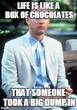 Forest gump | LIFE IS LIKE A BOX OF CHOCOLATES THAT SOMEONE TOOK A BIG DUMP IN | image tagged in forest gump | made w/ Imgflip meme maker